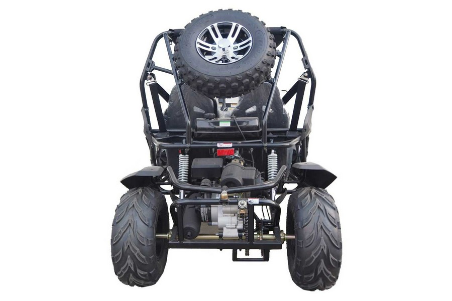 2023 TrailMaster Cheetah 200X