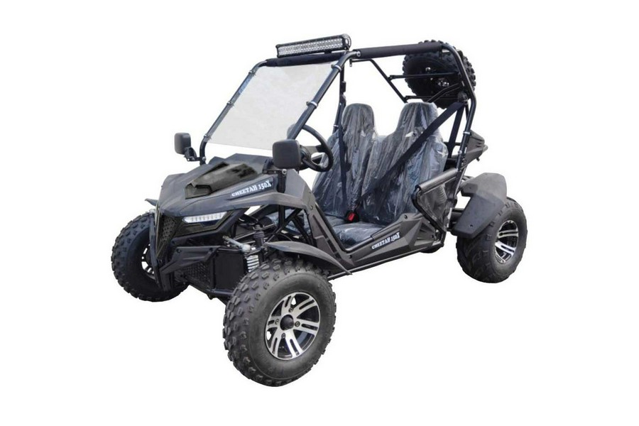 2023 TrailMaster Cheetah 200X