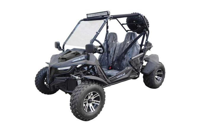 2023 TrailMaster Cheetah 200X