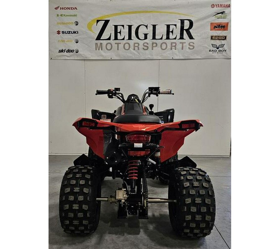 2024 Can-Am® DS 250