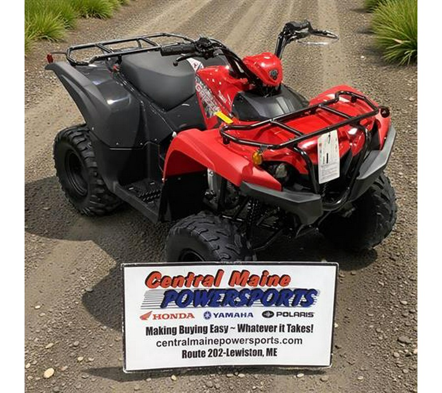 2025 Yamaha Grizzly 110