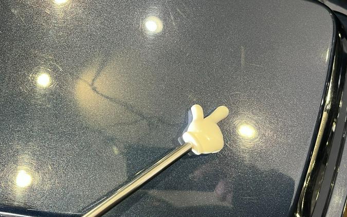 2009 Harley-Davidson Road King®