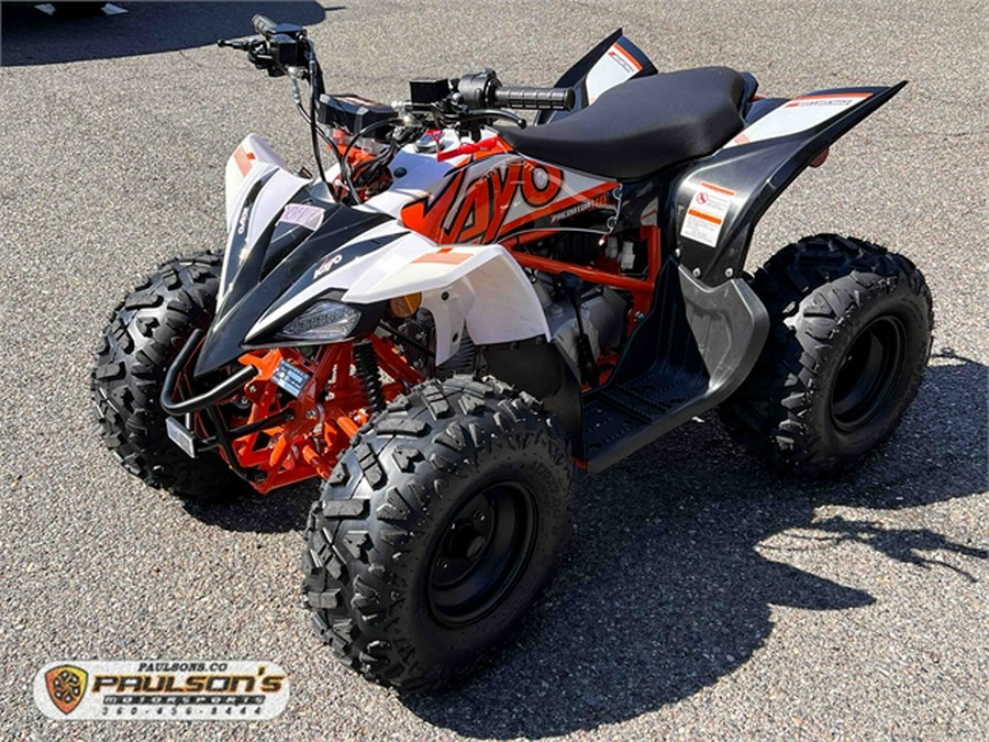 2024 kayo Predator 110