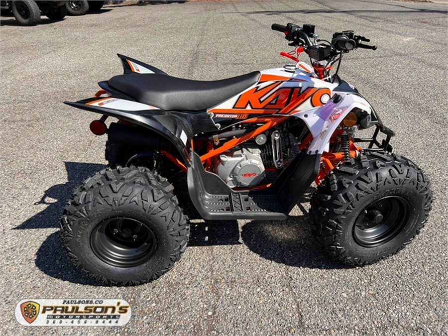 2024 kayo Predator 110