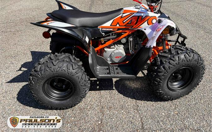 2024 kayo Predator 110