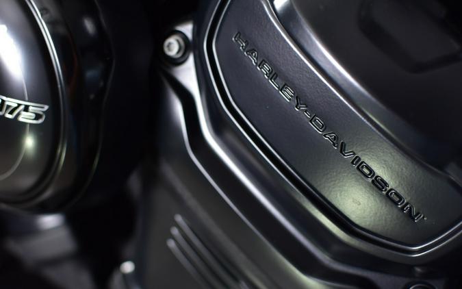 2025 Harley-Davidson Nightster RH975