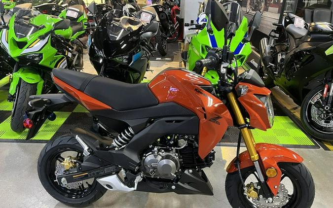 2025 Kawasaki Z125 PRO