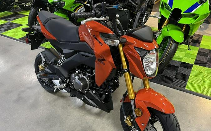 2025 Kawasaki Z125 PRO