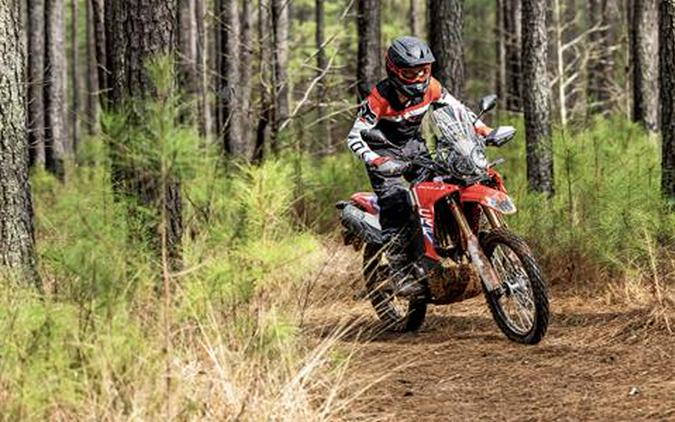 2025 Honda CRF300L Rally ABS