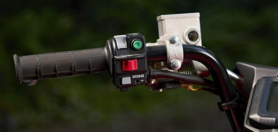 2025 Yamaha Grizzly EPS