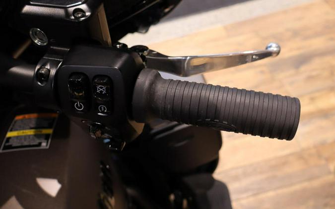 2025 Indian Motorcycle® Roadmaster® PowerPlus Dark Horse® w/PowerBand Nara Bronze Smoke