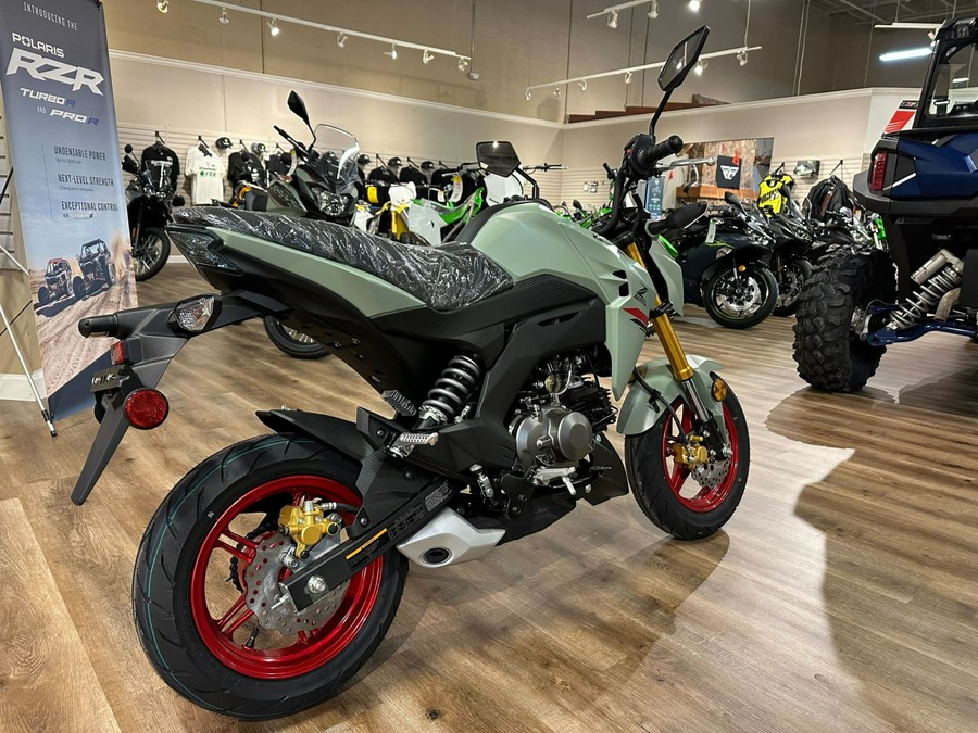 2023 Kawasaki Z125 Pro