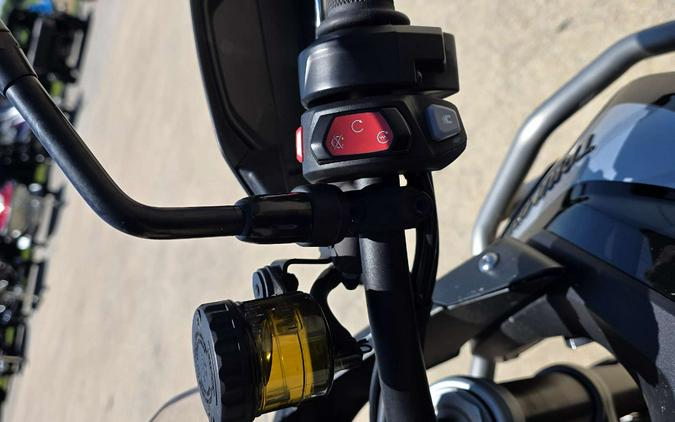 2021 Triumph Tiger 900 GT Pro