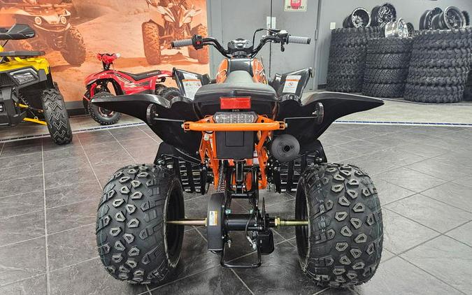 2026 Kayo Storm 150 EFI