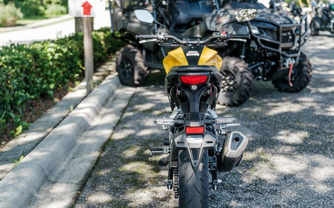 2025 Honda CB300R