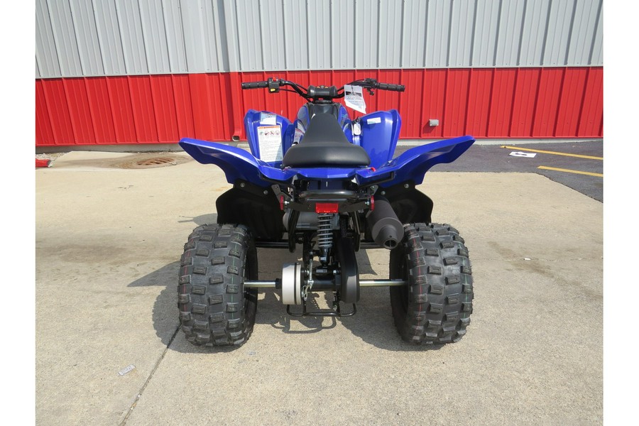 2025 Yamaha Raptor 110