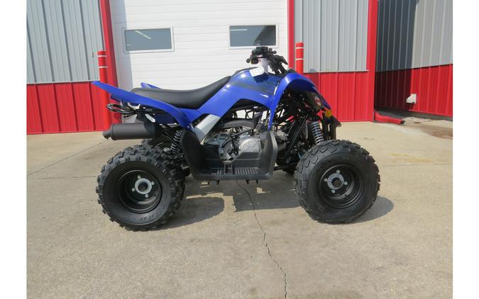 2025 Yamaha Raptor 110