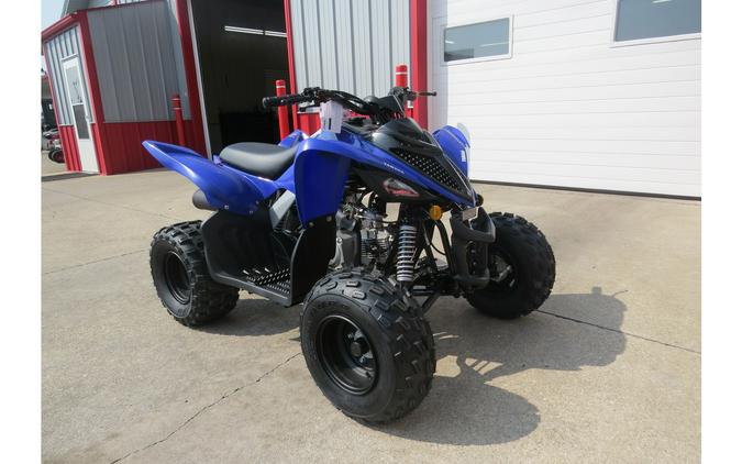 2025 Yamaha Raptor 110