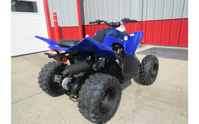 2025 Yamaha Raptor 110