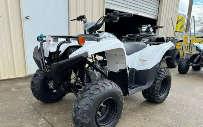 2024 Yamaha Grizzly 90