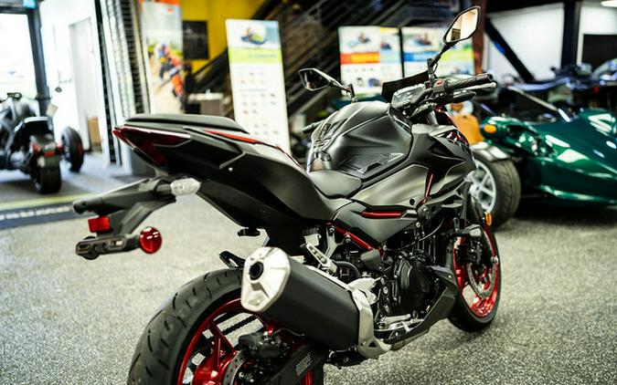 2025 Kawasaki Z500 SE ABS