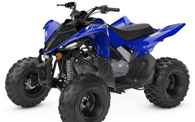 2026 Yamaha Raptor 110