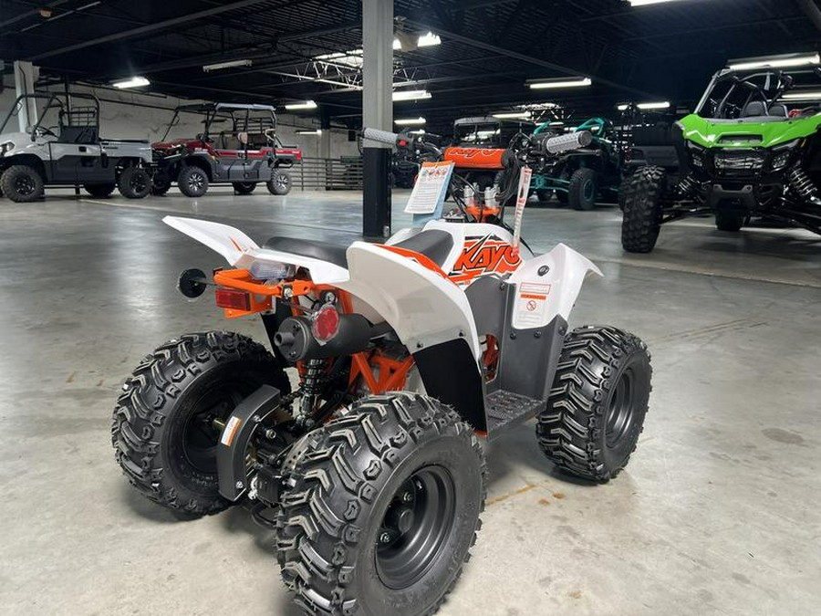 2025 Kayo Fox / Storm 70