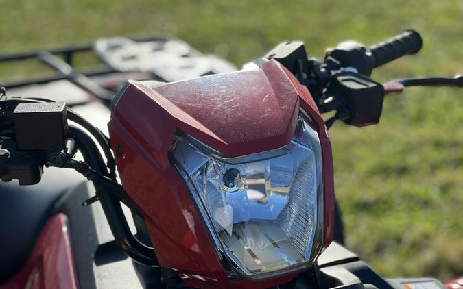 2025 Honda FourTrax Foreman 4x4 EPS
