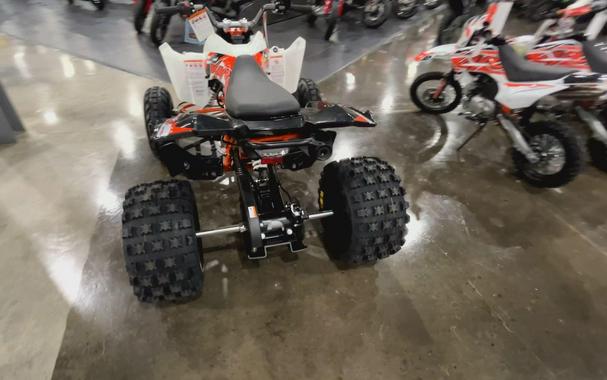 2026 Kayo STORM 300