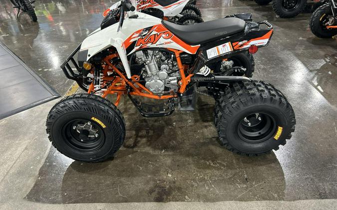 2026 Kayo STORM 300