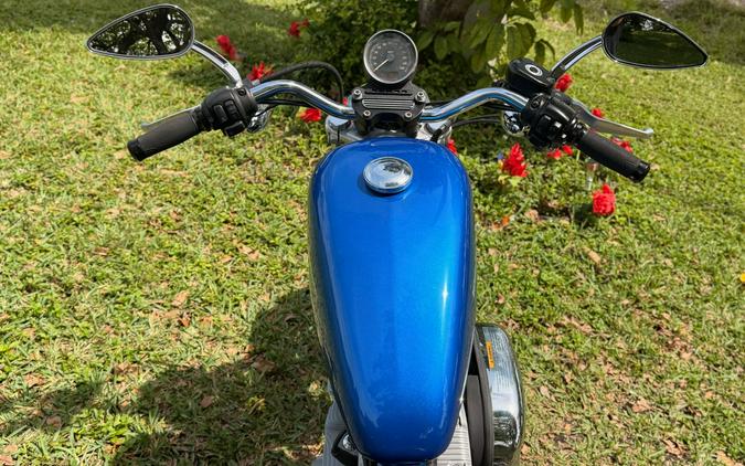 2007 Harley-Davidson Sportster® 883 Low