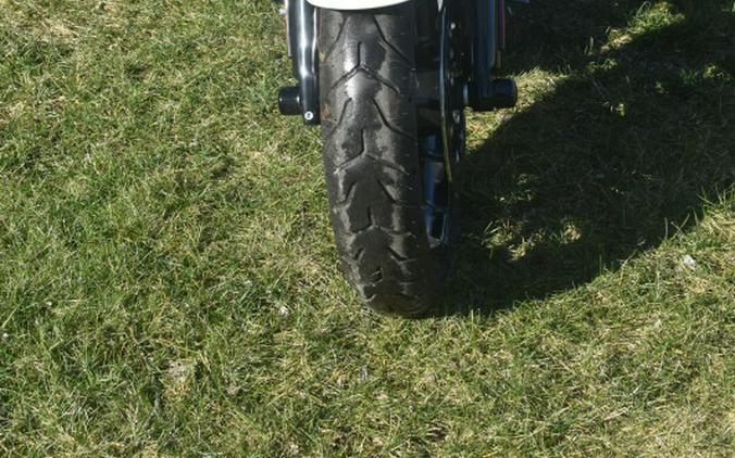 2023 Harley-Davidson Freewheeler