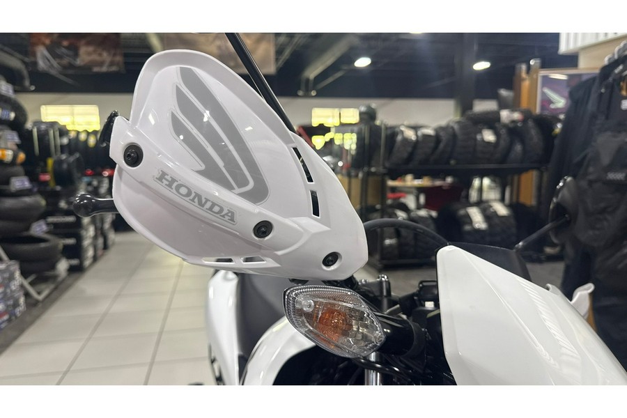 2025 XR™ 150L - Honda