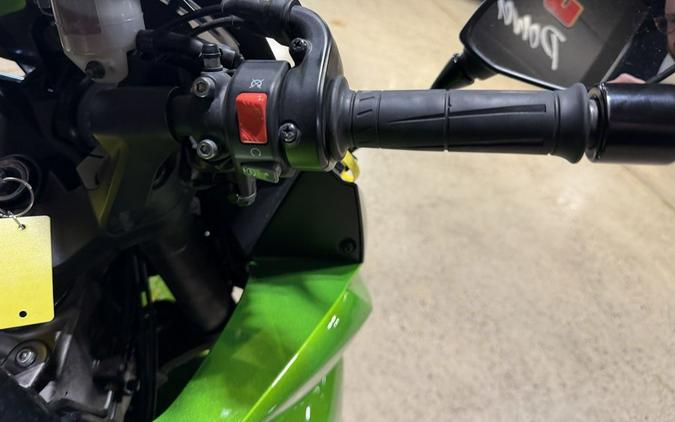 2013 Kawasaki Ninja® 1000 ABS