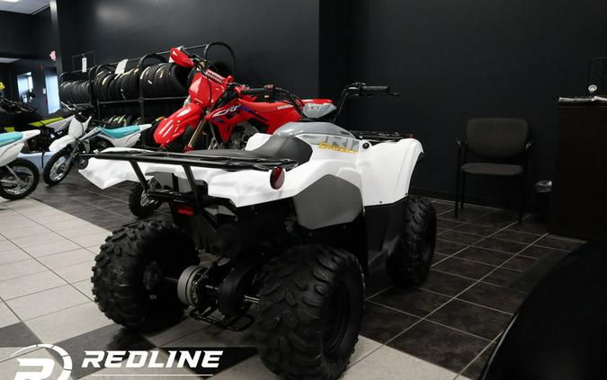 2024 Yamaha Grizzly 90