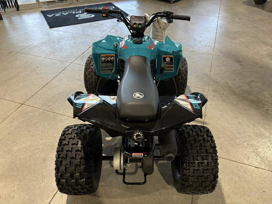 2026 Can-Am® Renegade 110 EFI