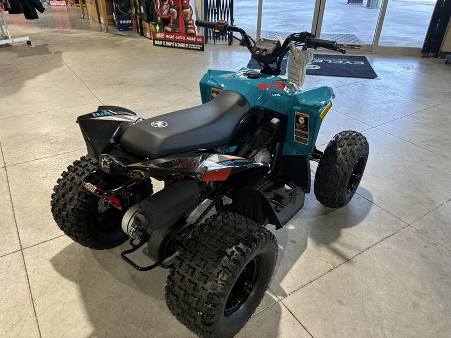 2026 Can-Am® Renegade 110 EFI