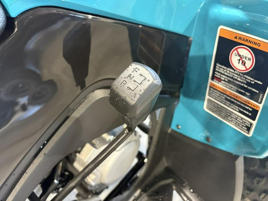 2026 Can-Am® Renegade 110 EFI