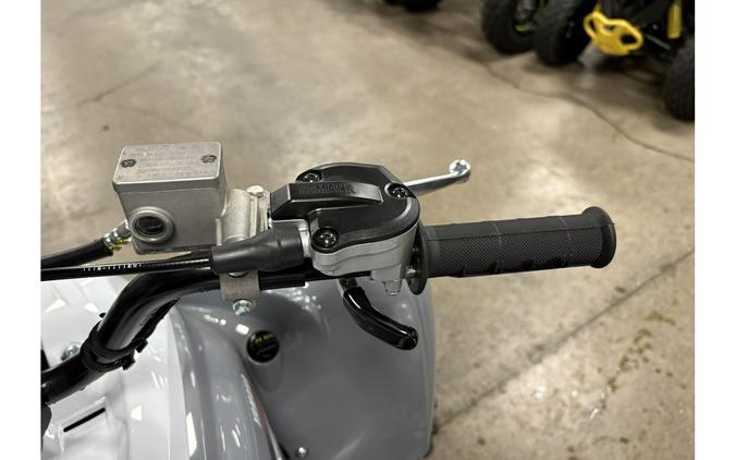 2026 Yamaha Raptor 700