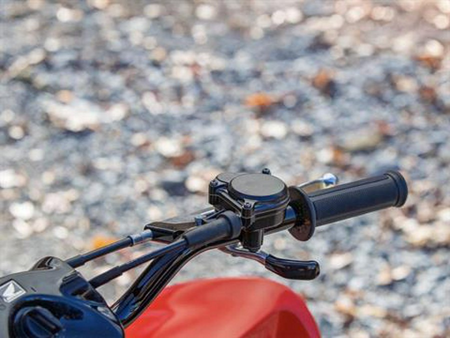 2025 Honda TRX90X