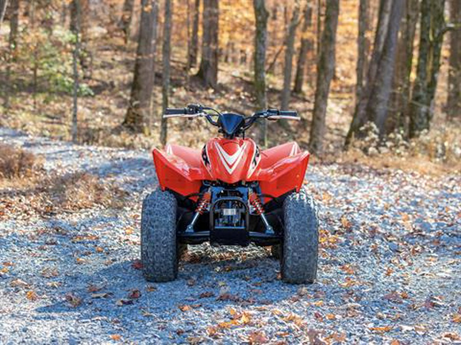 2025 Honda TRX90X