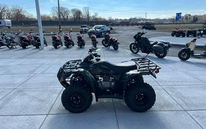 2023 Honda FourTrax Recon