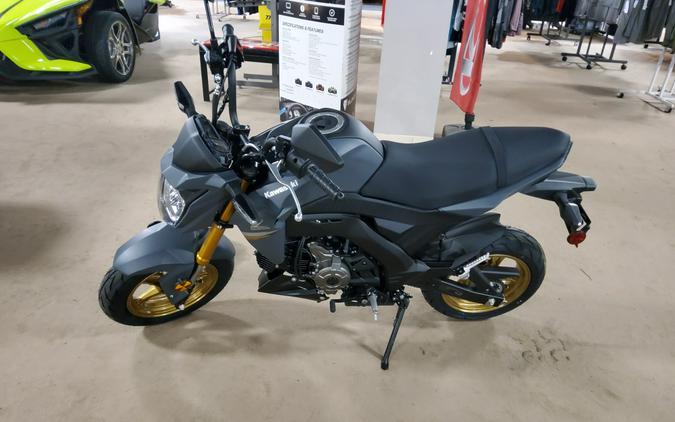 2024 Kawasaki Z125 PRO Base