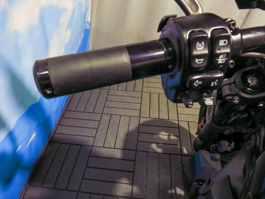 2020 Harley-Davidson LiveWire ELW