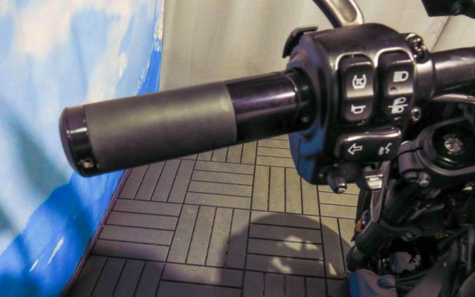 2020 Harley-Davidson LiveWire ELW