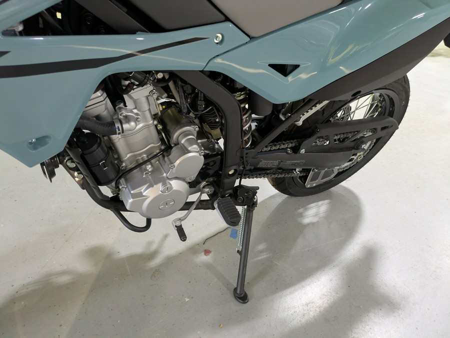 2025 Kawasaki KLX 300SM