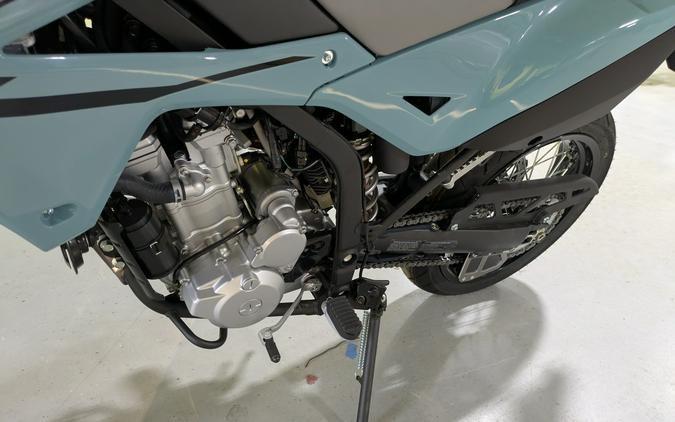 2025 Kawasaki KLX 300SM