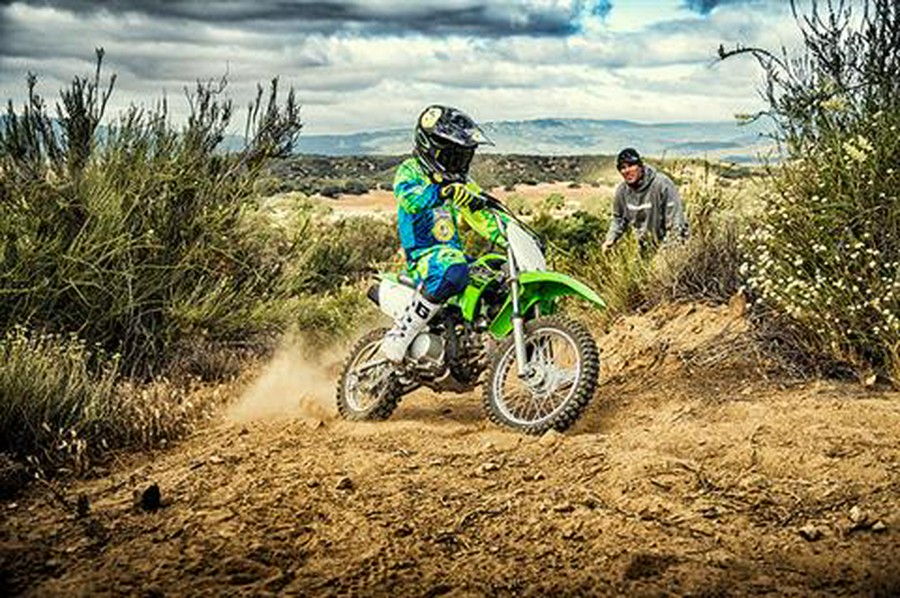 2019 Kawasaki KLX 110