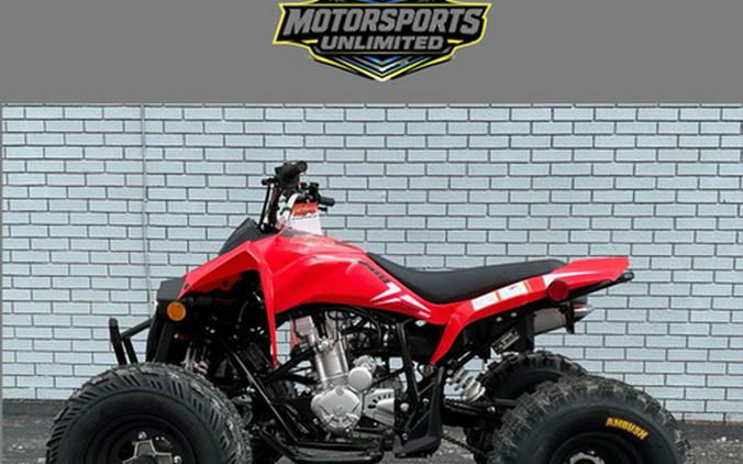 2027 Kayo Storm 300 EFI