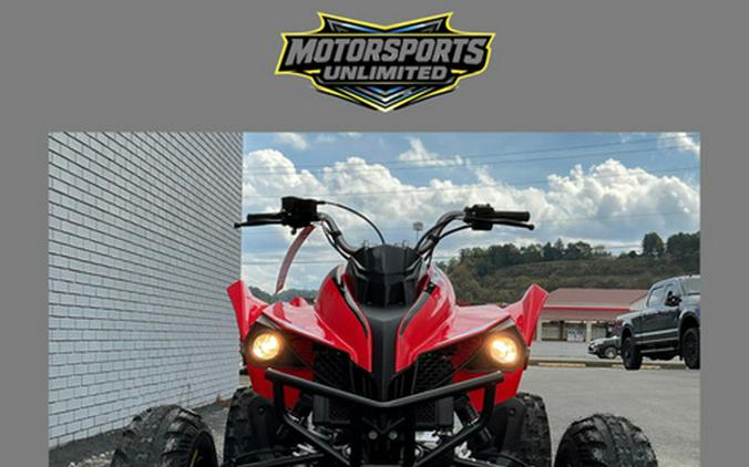 2027 Kayo Storm 300 EFI